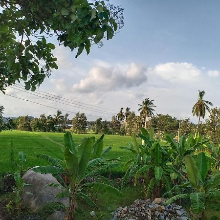 Gopi Plantation Homestay Hampi Exterior photo
