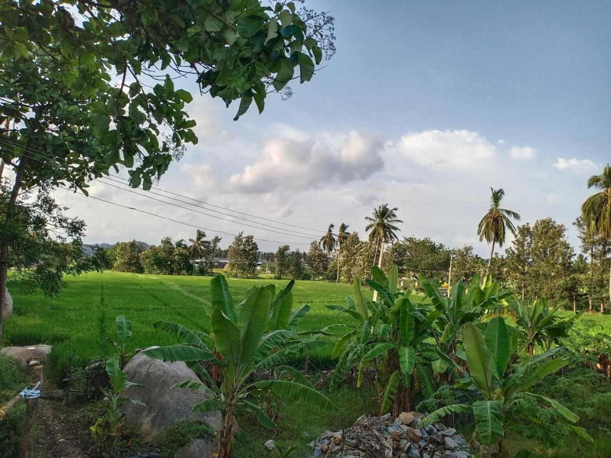 Gopi Plantation Homestay Hampi Exterior photo