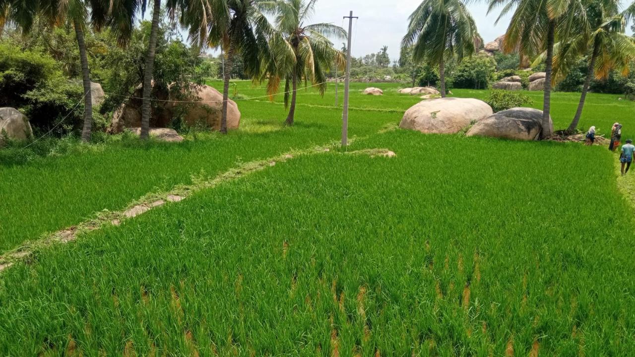 Gopi Plantation Homestay Hampi Exterior photo