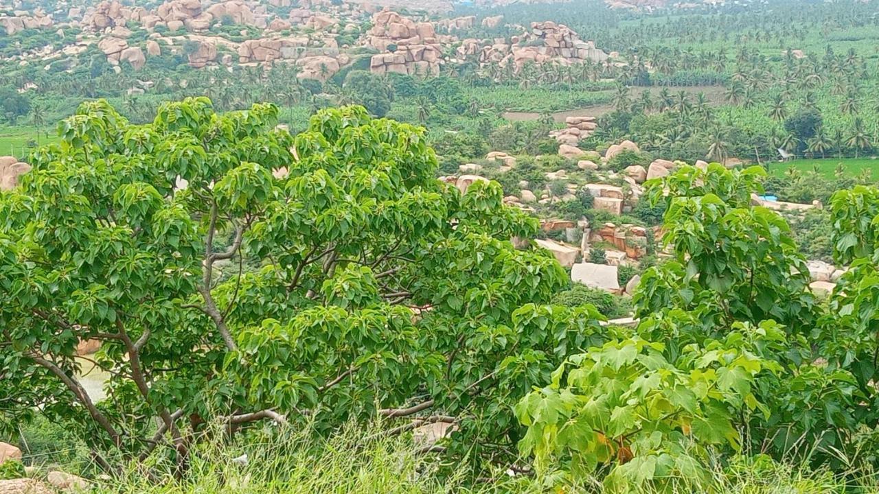Gopi Plantation Homestay Hampi Exterior photo